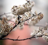 重庆今日雨水暂歇气温缓升