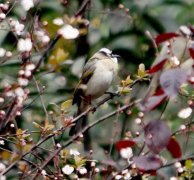 今天中午的太阳你晒了吗？未来三天又是雨！雨！雨！