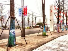 南滨路这些树上无缘无故“长”出了好多画