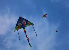 周末别慵懒在家 重庆的春天就该做这些事情