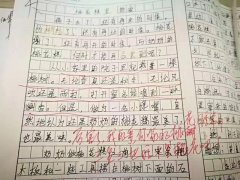 初三学生作文现“三生三世十里桃花” 看老师的诙谐点评