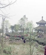 小孩不慎落水 男子救人后默默离开