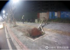 新手驾车自信满，不料在蔡家同惠路附近撞树又翻车