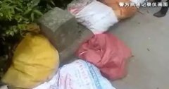 重庆一男子收购癞蛤蟆 不料被拘留