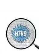 江北区确诊1例人感染H7N9病例