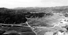石柱打造国内首个莼菜公园