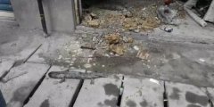 重庆奉节一下水道竟然挖出娃娃鱼