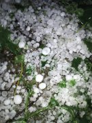 重庆明起阳光回归  后天最高温33℃