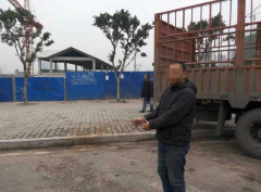 宝马车主忘关车门 过路司机盗走挎包还栽赃同伴