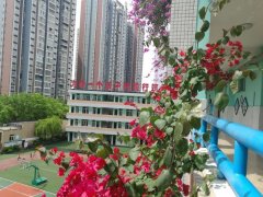 看！别人家学校是“花园”
