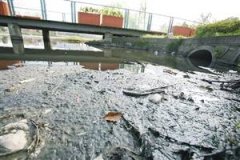 雨水把废机油冲进河里 重庆一汽修厂换来3万罚单