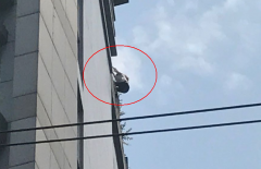 重庆一女子暴晒1小时欲跳楼 民警徒手将其解救