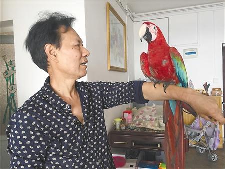 天上掉下个“林妹妹” 谁家的?快来认领