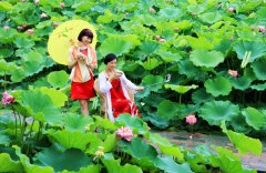 “映日荷花别样红” 重庆大足区千亩荷花竞相争艳