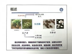 人类首次！重庆大学将在月球表面种土豆