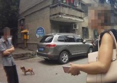 好心收养“流浪狗”被咬 半路杀出狗主人：自作自受
