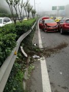 车主开车谈生意分神 轿车飞跃隔离带“失败”