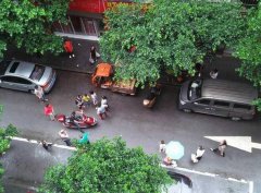 小男孩突然冲上马路险酿大祸