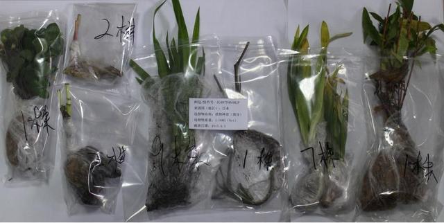 微信图片_20170615201922