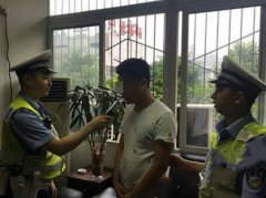 重庆一男子醉酒驾车 “亡羊补牢”为时已晚