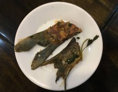 男子点了一条活鱼 吃出两条鱼尾巴