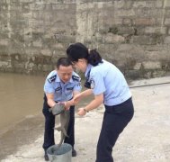 重庆一小区草丛发现一只“娃娃鱼” 重约8斤