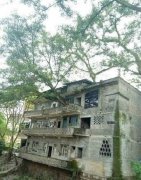 重庆一百年大树穿过三层高楼房  屋主：不用空调十分凉快