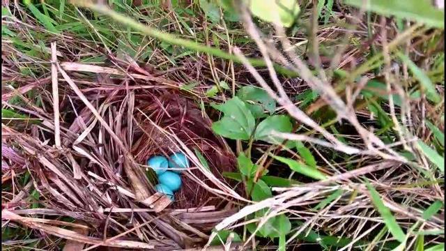 微信图片_20170625163207