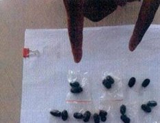 六旬婆婆买药治病 被骗了12300元