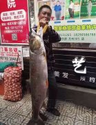 重庆男子钓起60多斤重的“水老虎”