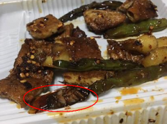 快吃完的烧烤碗底发现一只完整的蟑螂 吓坏食客