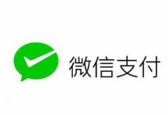 女子承诺微信支付打车费 结果下车后拉黑的哥