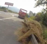 司机遇高速执法 不问缘由直接掏钱