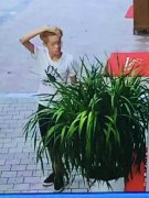 打暑假工挣钱不容易  转身钱被人顺走