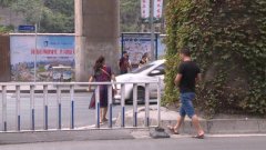 隔离栏被人为破坏 横穿马路屡禁不止