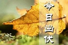 今天出伏  但重庆气温暂时不会降