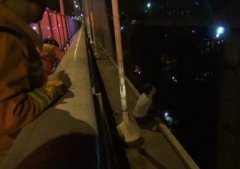 小伙失恋上演跳桥秀 消防官兵飞扑将其救下