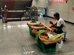 大伯轨交站内摆菜摊卖菜   网友：这怕要不得哦