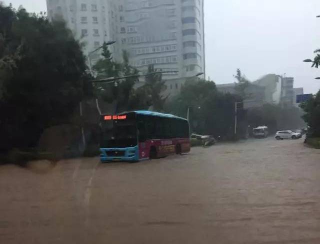29日16时许，永川又是一场突如其来的阵雨，城区“战况”惨烈，这次，仍是植物园首当其冲。