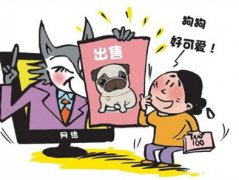 网上加好友免费送狗 女子欲领养被骗千元