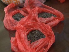 市民遇医托买天价假药 诈骗团伙全被抓