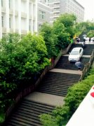 老司机被导航带路带上梯坎 网友：不走寻常路