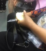 大妈轻轨上削苹果  同车乘客：千万别刹车