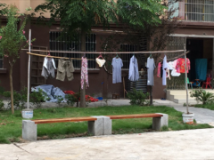 小区绿化带秒变晾衣场  业主：每天行走在裤衩下