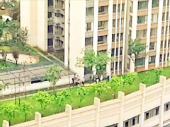 万州一工人在高空作业时 意外坠亡