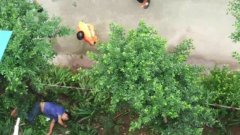 安装空调意外坠楼 重庆男子身受重伤