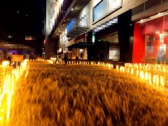 “麦田”空降城市广场 卖场变“麦场”