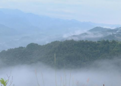 美翻！重庆雨后现云雾奇观