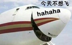 老套骗局整合重组 航班退款骗局出新花样