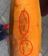 女子买的南瓜刮开后全是蛆  超市负责人：正常现象